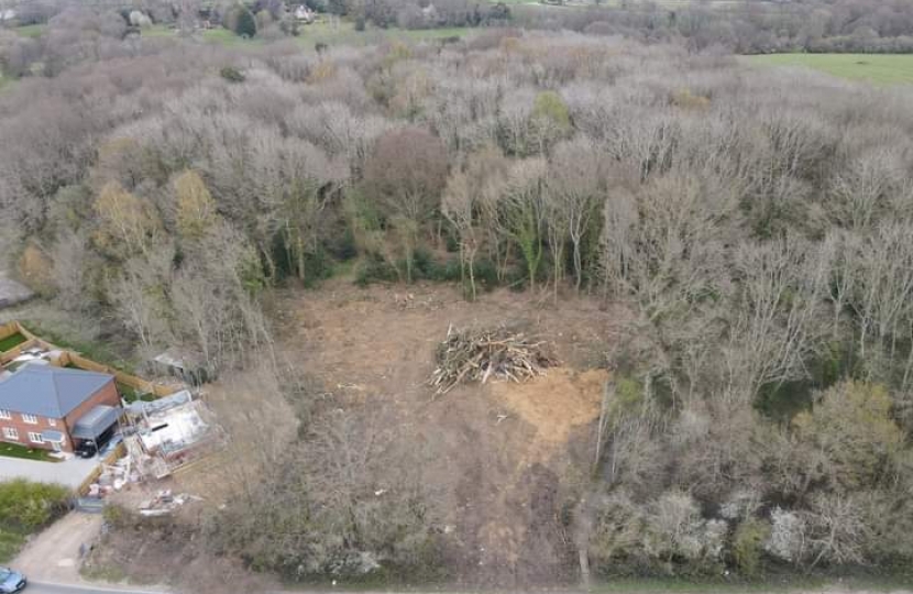 Woodland Clearance Aerial
